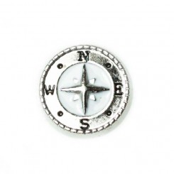 Silver Compass
